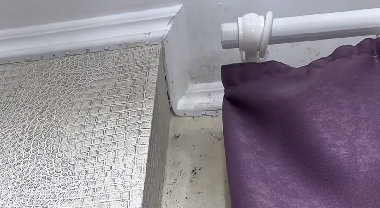 Як без магазинної хімії прибрати плісняву в оселі