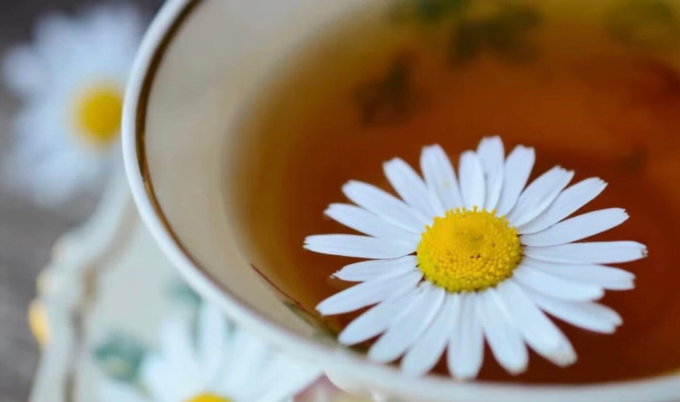 Чому варто щодня пити ромашковий чай