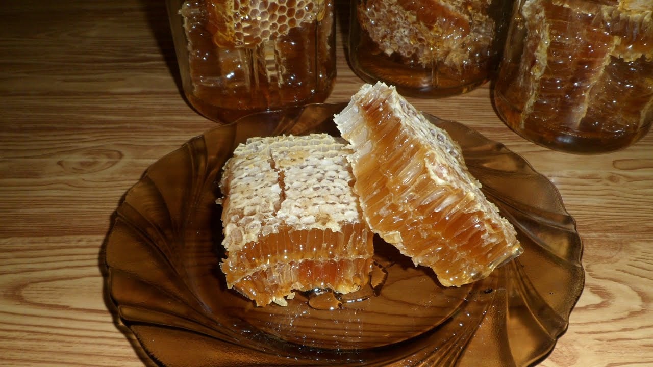 Експерти пояснили, яка користь у щоденному вживанні меду та кому його не можна їсти взагалі