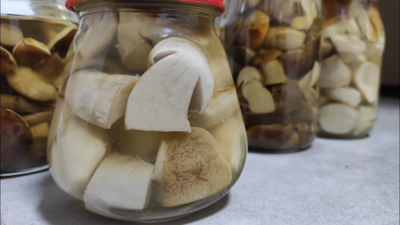 Експерти пояснили, чому не можна мити гриби перед приготуванням та як це на них впливає. Фото: YouTube Сім'я Піддубних Family Piddubni