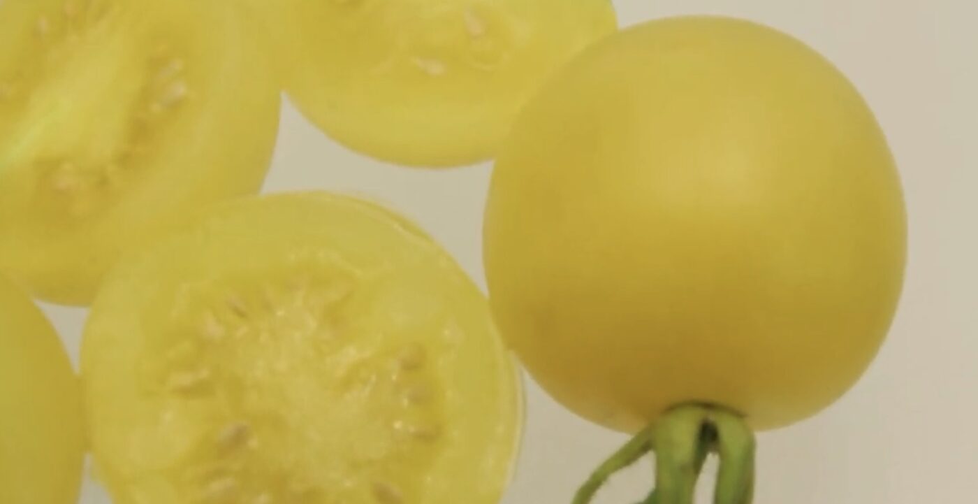 Три сорти томатів з цікавим смаком та виглядом