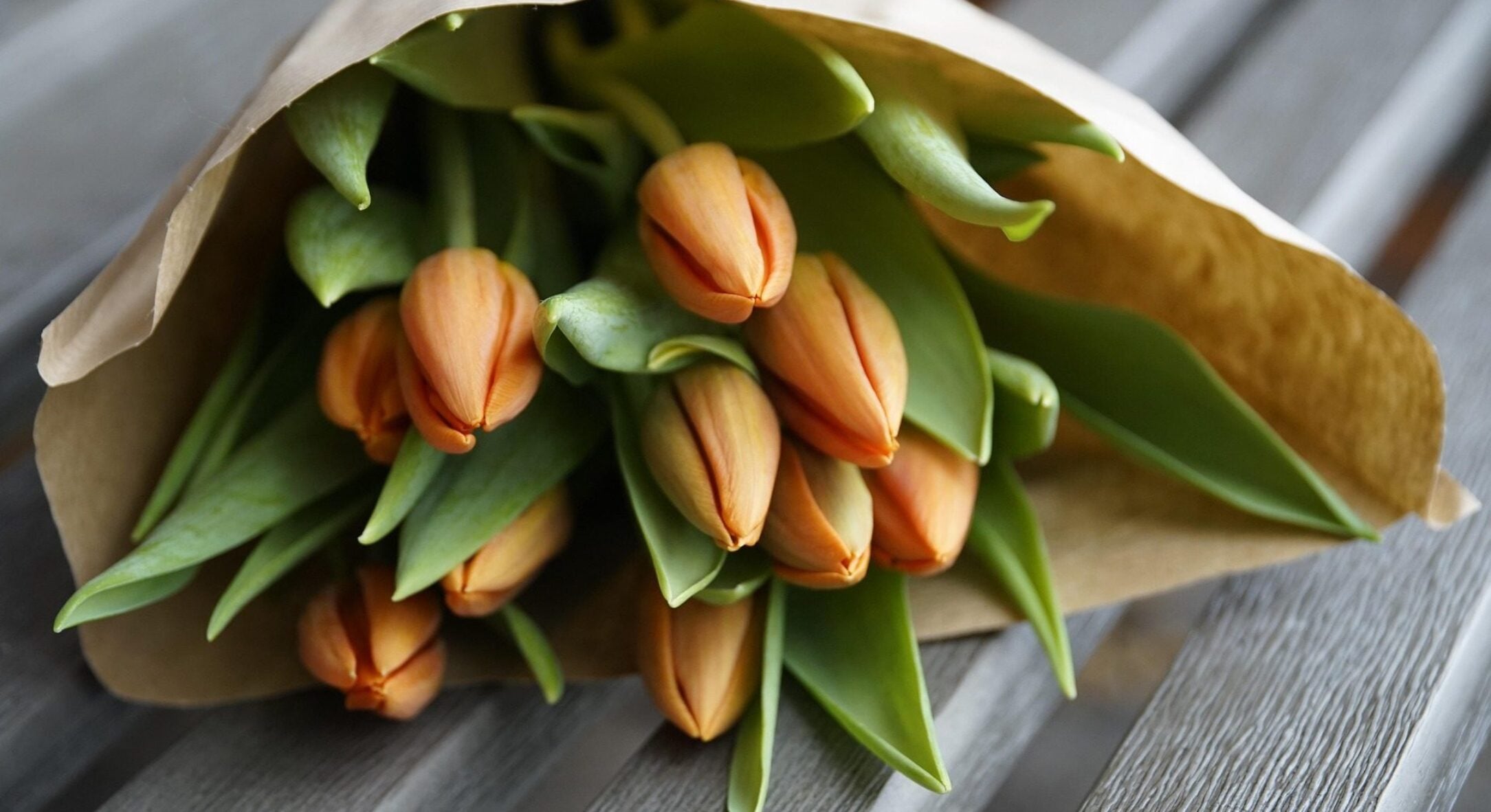 Беру по 1 ч. ложці “цього” і кидаю у вазу з тюльпанами: так вони стоять набагато довше і не в’януть 