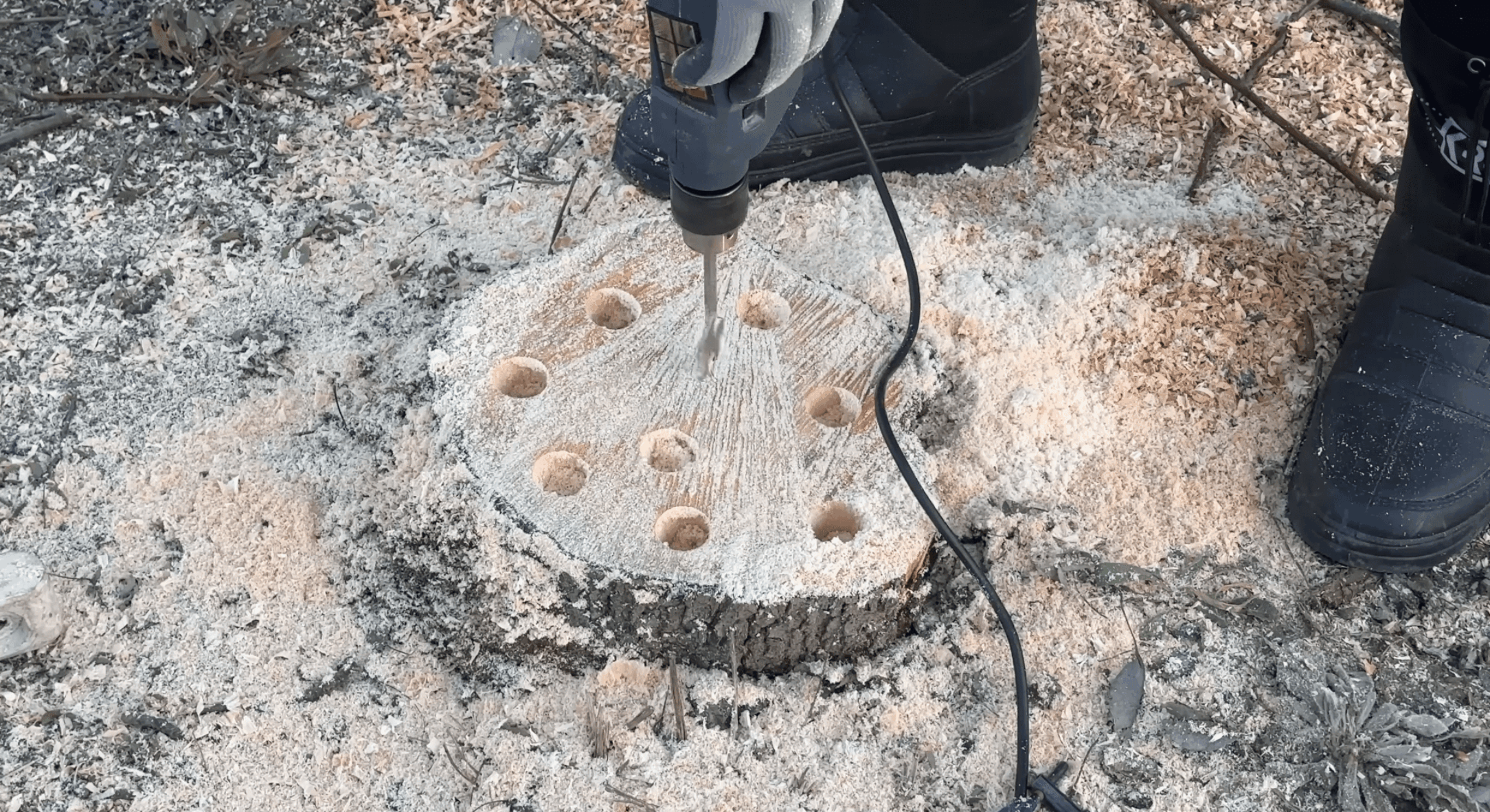 Пеньок перетвориться в пил без сокири та лопати: 1 найпростіший і найшвидший спосіб 