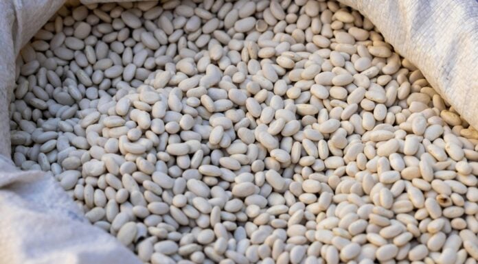 Ідеально для серця: копійчаний продукт, який побив рекорди за вмістом калію – для тих, хто не любить банани Названо доступний продукт, який містить більше калію, ніж банани. Фото: Pexels