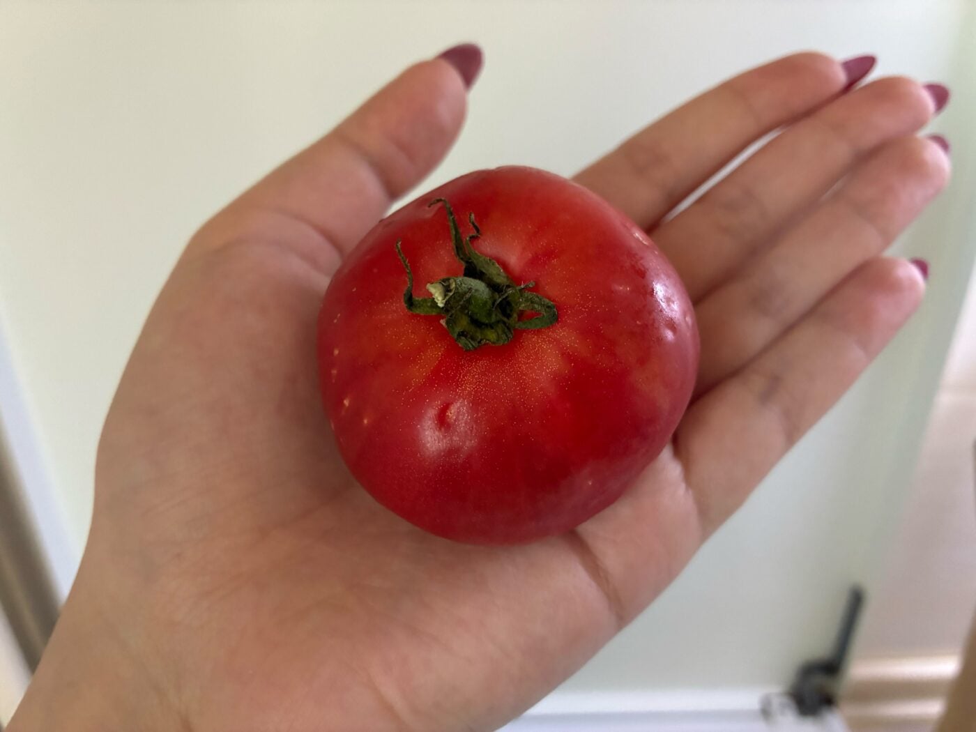 Городники порадили, яке підживлення дати томатам для щедрого врожаю. Фото: Одна Хвилина